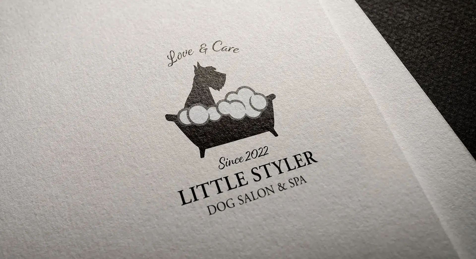 Little Styler logo